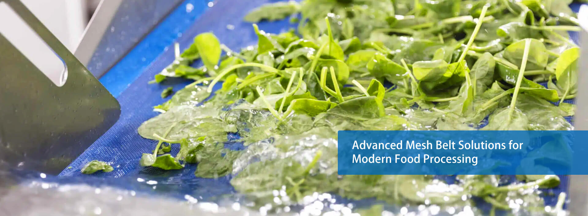 Beijing PFM Screen Co., Ltd.