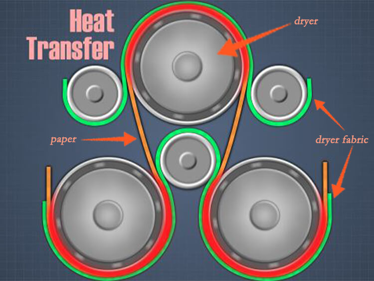 Paper Making Dryer Section