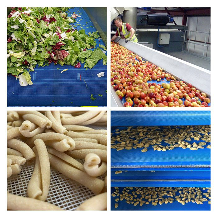 Linear Screen Mesh Conveyor Belt in the Washing Process of the Food Industry