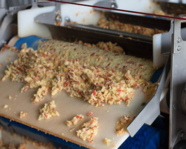 Press Filter Belt for Producing Fruit Juices