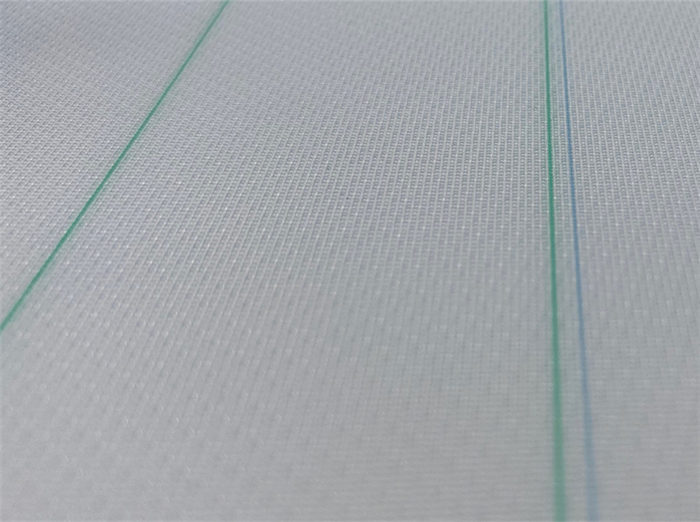 Pulp Washing Mesh Fabric