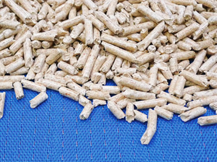 Wood and Biomass Drying